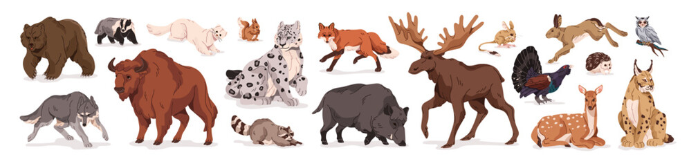 Wild animals set. Different forest wildlife: bear, bison, wolf, boar, fox, lynx. Various woodland fauna of Europa: deer, owl, squirrel, hare. Flat isolated vector illustrations on white background © Paper Trident