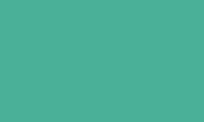Tosca Background