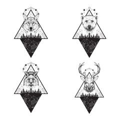 Vector images of wild animals, moon phases, forest and triangles.