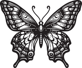 Hand drawn single butterfly outline art silhouette illustration in white background