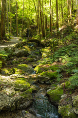 三重県志摩市磯部町にある天の岩戸を流れる小川と境内の風景