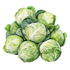 Fototapeta premium Stack of green cabbages, watercolor illustration, healthy vegetables
