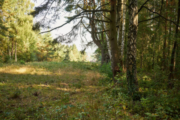 polana  © Marcin Łazarczyk