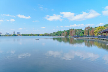 Guangzhou Haizhu Lake Park Lakes and Groves of Larch Trees