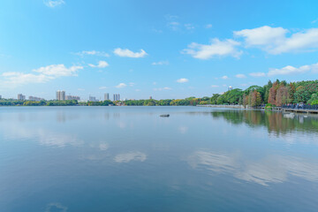 Guangzhou Haizhu Lake Park Lakes and Groves of Larch Trees
