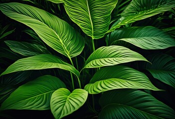 vibrant display botanical textures patterns featuring lush green intricate floral nature inspired elements, visuals, leaves, flowers, greenery, organic