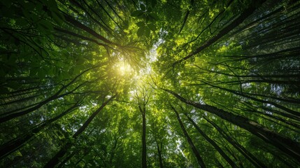 Reflections on the awe-inspiring power and resilience of nature