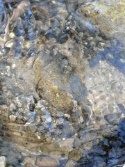 Close up of colored gravel in a creek bed.