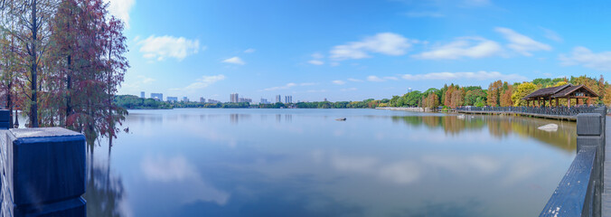 Guangzhou Haizhu Lake Park Lakes and Groves of Larch Trees
