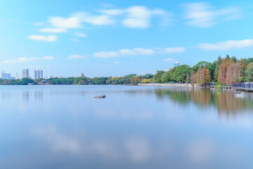 Guangzhou Haizhu Lake Park Lakes and Groves of Larch Trees