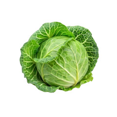 Fototapeta premium Cabbage portion on a white background