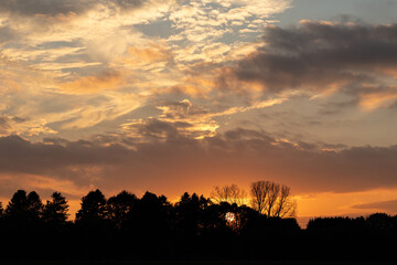Sunset with beautiful clouds and tree silhouette in the foreground