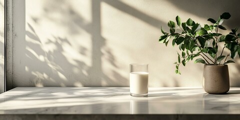 A glass of milk and a potted plant on a