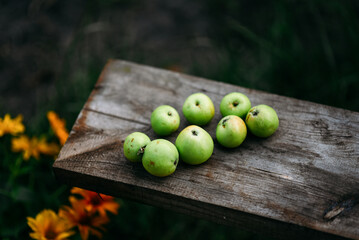 green apples in the evening garden lie on a wooden board, harvest, summer, preparation for winter