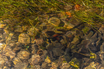 Costa en Santoña, Cantabria, España.