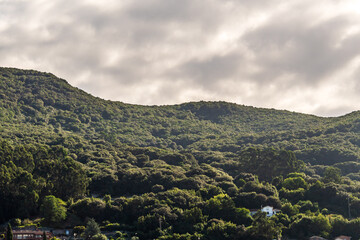 Paisaje en Santoña, Cantabria, España.