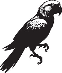Obraz premium Parrot Bird silhouette black isolated on white background