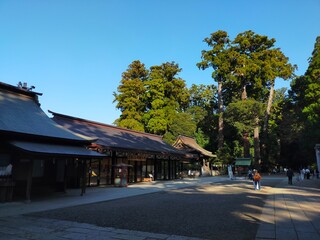 神社の境内