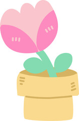 Cute Tulip Flower in Pot