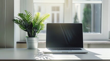 Fototapeta premium A laptop and plant on a white desk in front of a window.