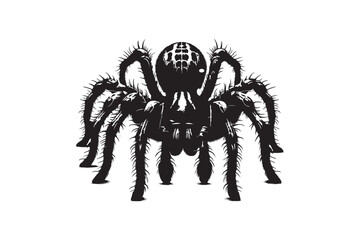 spider vector art and illustration