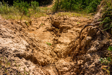 Top-down view of a rain-eroded sand slope