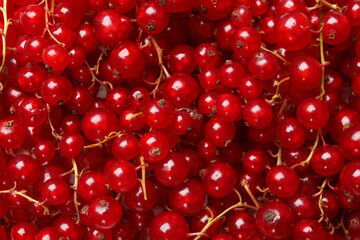 Fresh ripe red currants as background, top view