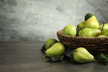 Many fresh ripe pears on grey table. Space for text