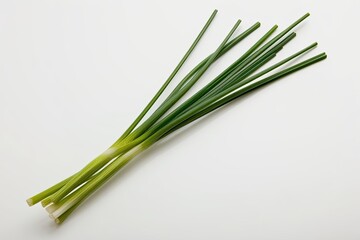 Isolated Fresh Green Chive Stalk on Bright White Background