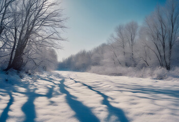 snow covered trees