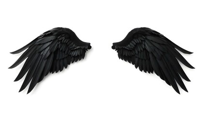 Obraz premium Pair of black wings isolated on a white background