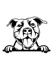 Peeking Pit bull | Pit bull | American Pit bull | Peeking Animal | Curios Dog | Domestic Animal | Pet Animal | Dog Lover | Original Illustration | Vector and Clipart | Cutfile and Stencil