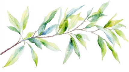 Delicate Watercolor Leaves: Embracing the Beauty of Nature in a Botanical Illustration