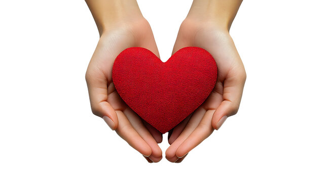 Two Hands Holding a Red Heart Shaped Object on a White Background, Isolated Object with Transparent Background