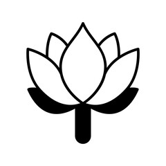lotus flower