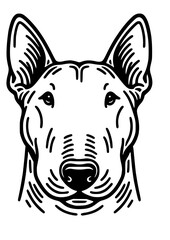 Dog Breed SVG, Dog Line Art, French Bulldog SVG, Labrador SVG, Rottweiler SVG, Pet SVG, Dog Design, Dog Silhouette, Akita SVG, Maltipoo SVG, Cut file for Cricut SVG, JPG, PNG