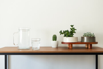 Glass of water, jug, and succulents potted plants on wooden table minimalist home decor