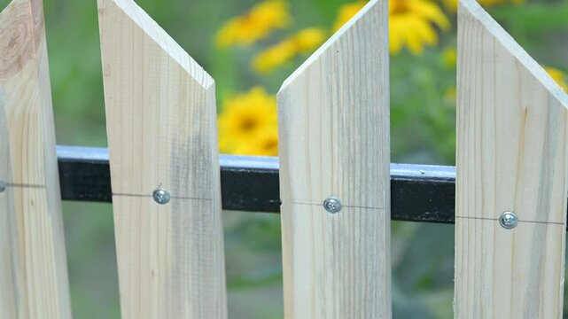 Building fence on private building area. Constructing wooden fence with metal frame, tightening self-tapping screw