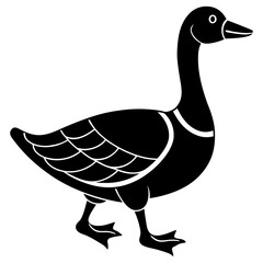 illustration of a duck
