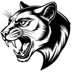 illustration of a tiger