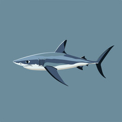 Fototapeta premium Stylized Shark Illustration on Blue Background