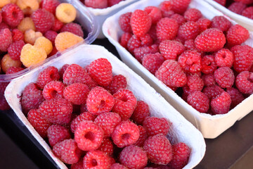 Fresh bright raspberries packaged in white paper trays sold at the seasonal market in Vilnius, Lithuania.