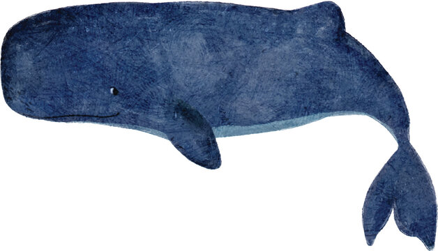 Adorable Sperm Whale illustration in children's book style