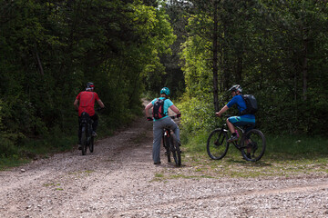 Naklejka premium Friends mountain biking on MTB in the forest, rear view