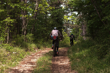 Obraz premium Friends mountain biking on MTB in the forest, rear view