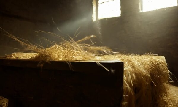 Manger with Hay in a Dark Barn