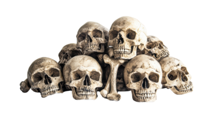 A pile of aged human skulls, their empty sockets staring blankly, evokes a sense of mortality and the passage of time. 