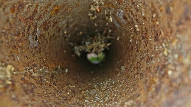 Camera Probe Pushed Through Thight Inside of Rusty Metal Pipe Macro Shot 