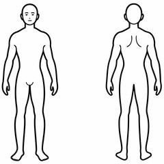 3d rendered illustration of a body