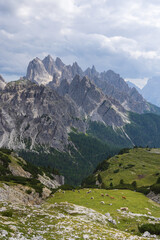Fototapeta premium View from hiking near Tre Cime di Lavaredo - Italy
